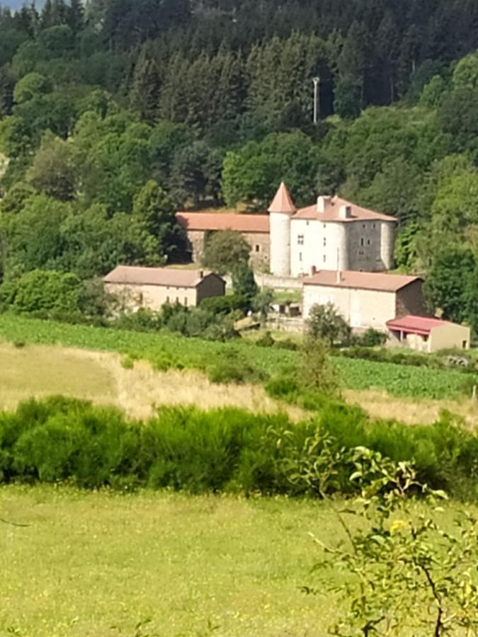 La Maison D'Oree Polignac  Exterior foto